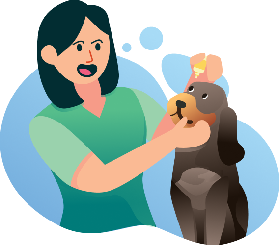 Mulher cuidando de um cachorro